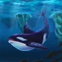 Nghệ thuật chụp ảnh cá voi sát thủ đẹp hút hồn giữa đại dương