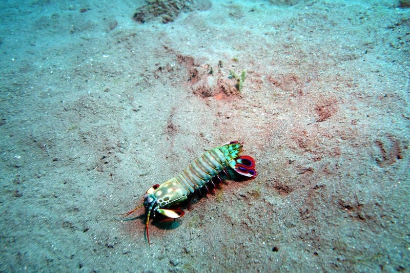 Kích thước bề bề thay đổi theo môi trường