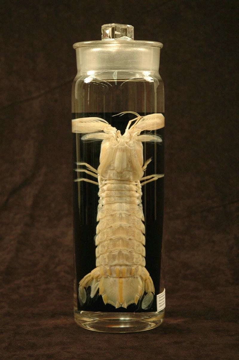 Bề bề wiki cung cấp thông tin khoa học