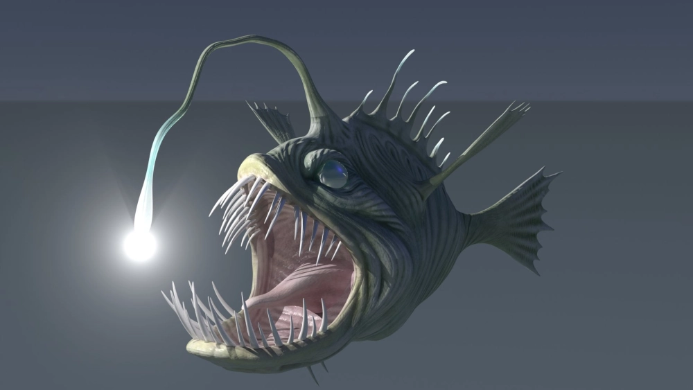 Vẻ đẹp kỳ lạ của cá lồng đèn trong tự nhiên