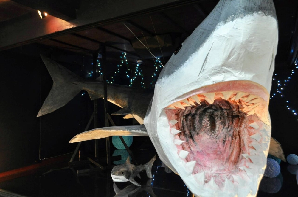 Chi tiết những vết sẹo trên thân cá mập trắng già dặn