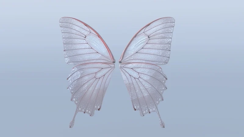 Gần gũi hơn với thiên nhiên nhờ cánh bướm chụp gần