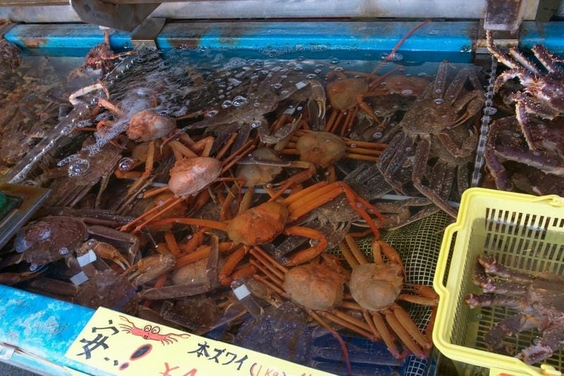 Đặc điểm cua tuyết chân dài thân cứng thích nghi lạnh