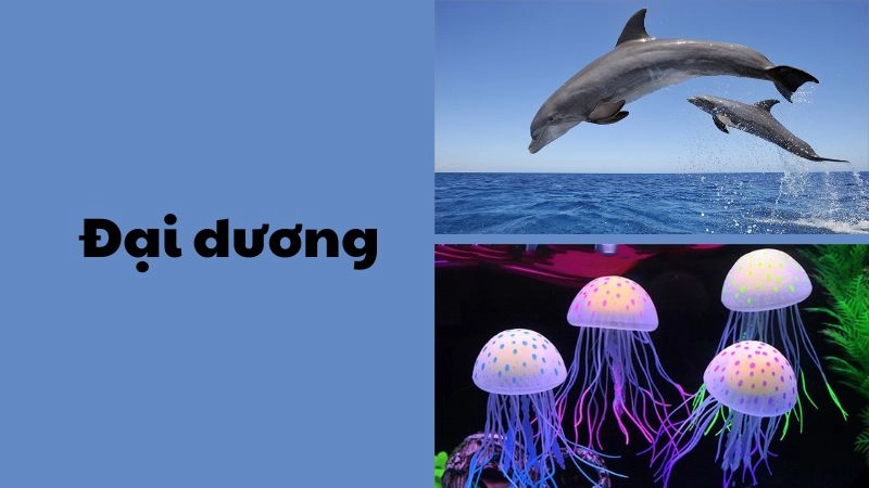 Khám phá sinh vật biển sâu kỳ bí và lạ mắt