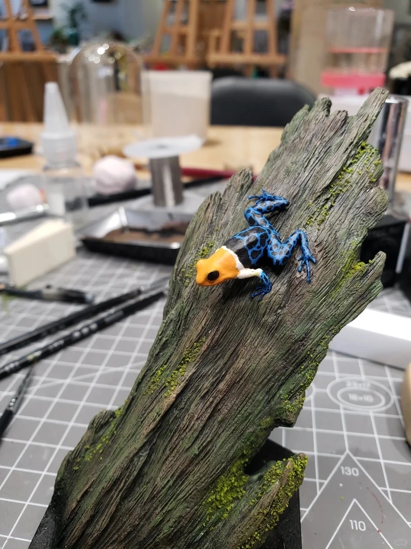 Thế giới ếch phi tiêu độc châu Mỹ phong phú và hiếm gặp