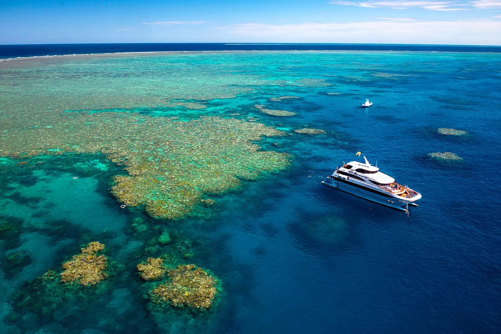 Bảo tồn kỳ quan thiên nhiên Great Barrier Reef khỏi ô nhiễm môi trường