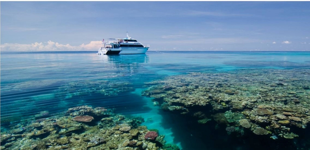 Đa dạng sinh học rạn san hô lớn nhất thế giới với hàng ngàn loài cá