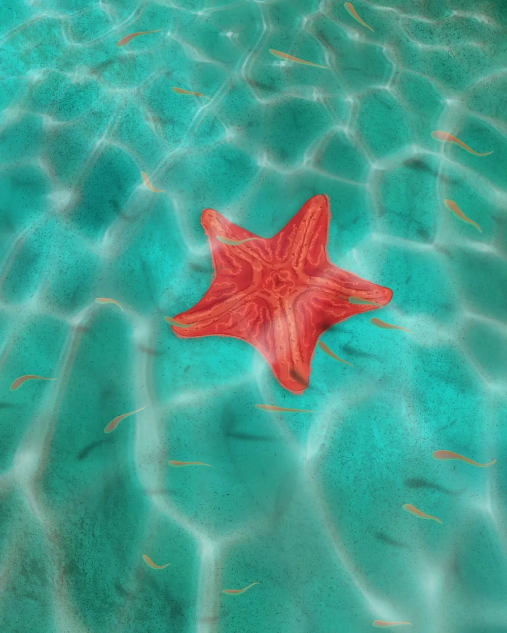 Hình nền sao biển trên bãi cát vàng lúc bình minh