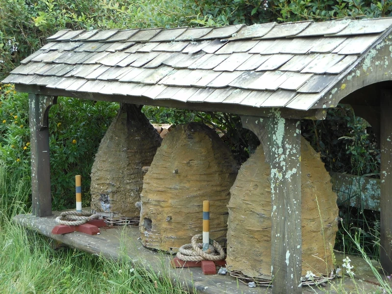 Lưu lại hình ảnh tổ ong nghệ thuật sắc nét