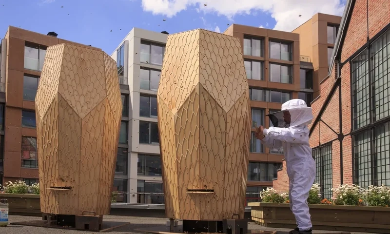 Lưu lại tổ ong nghệ thuật hình ảnh rõ sắc nét