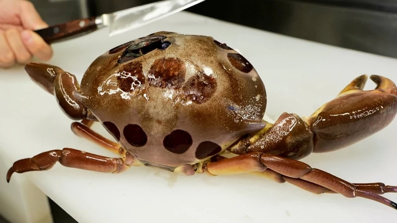 Chi tiết ấn tượng trong ảnh cua mặt trăng cận cảnh cực kỳ sắc nét