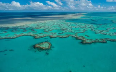 Top hình ảnh rạn san hô Great Barrier đẹp nhất hành tinh