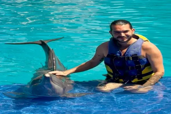 Hình ảnh cá heo nhảy múa tung tăng trên sóng đẹp mắt