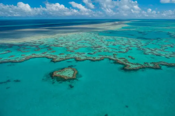 Top hình ảnh rạn san hô Great Barrier đẹp nhất hành tinh