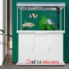 Bể cá cảnh đúc nguyên khối 1m2: Hướng dẫn chọn lựa và Setup chi tiết