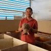 Bí quyết thành công khi nuôi dúi giống: Vốn ít, lợi nhuận cao
