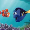 Cá Dory là cá gì? Thông tin chi tiết về loài cá "Đi tìm Dory"