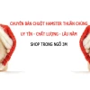 Cách Nuôi Chuột Con Chưa Mở Mắt Chuẩn Theo Chuyên Gia Thú Y