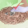 Chim Khách Ăn Gì? Khám Phá Chế Độ Dinh Dưỡng Cho Chim Cảnh