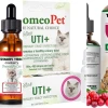 Natural remedies for cat urinary tract infections and care guide 2026