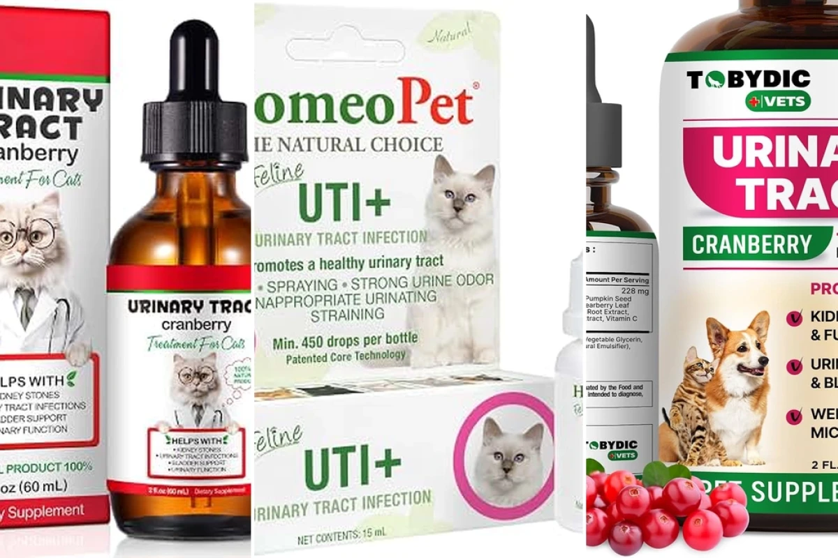 Natural remedies for cat urinary tract infections and care guide 2026