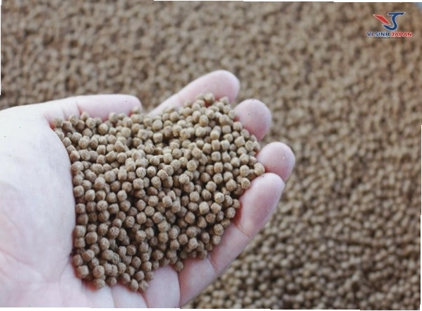Ba ba con đang ăn thức ăn được chuẩn bị sẵn