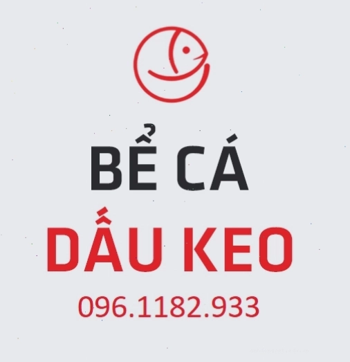 Bể cá cảnh nhỏ dùng để cách ly hoặc điều trị