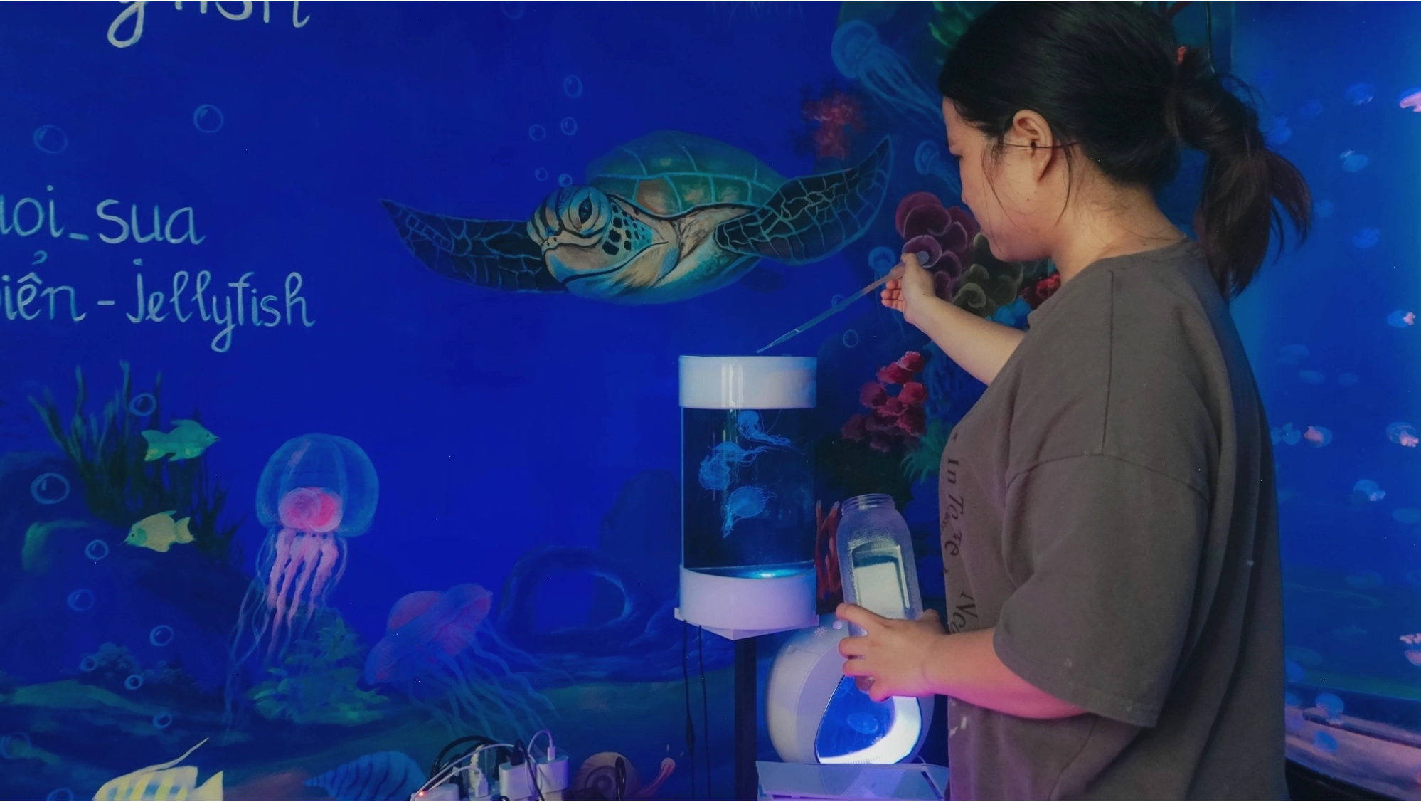 Bể sứa cảnh mini lấp lánh tạo không gian thư giãn