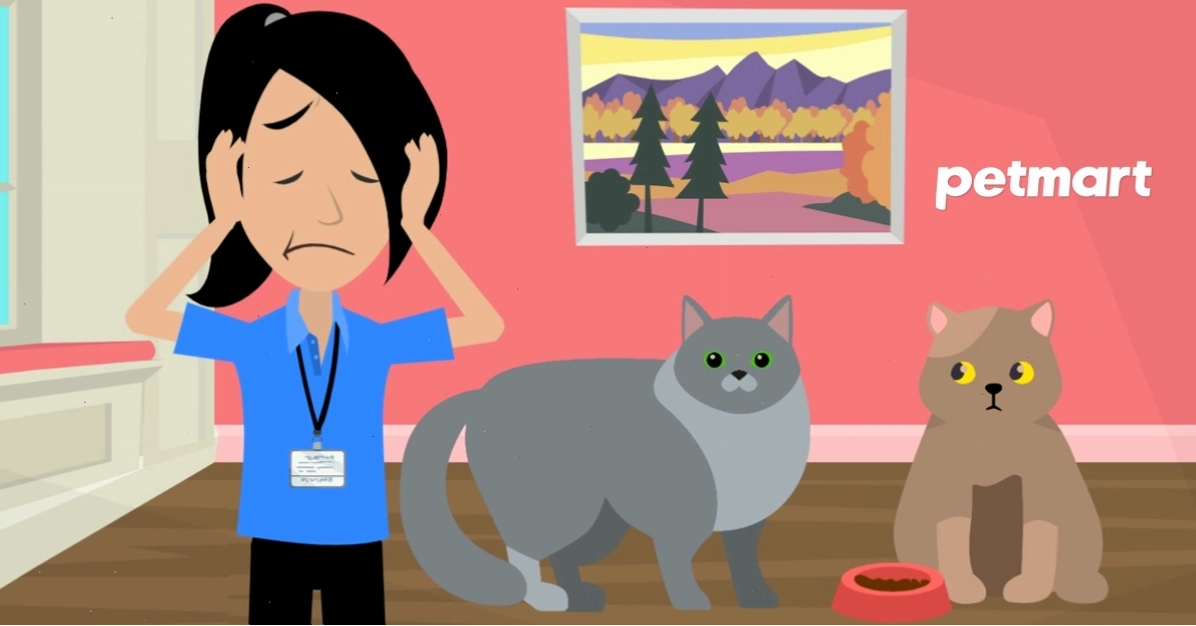 Biện pháp ngăn cản hai con mèo đánh nhau hiệu quả