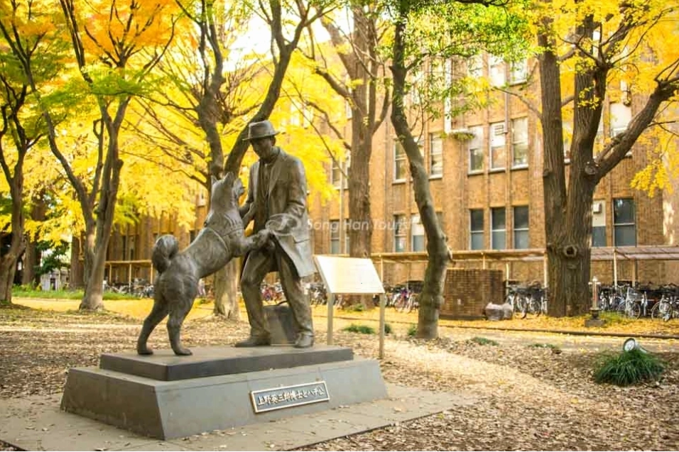 Biểu tượng Hachiko tại ga Shibuya