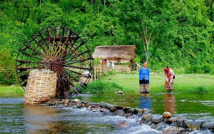 Cá lăng nướng - món ăn đặc sản của Con Cuông