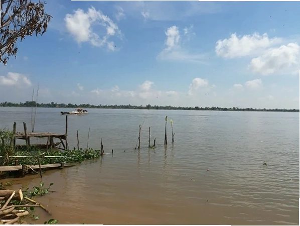 Cá nược kho tộ - món ăn đặc sản miền Tây