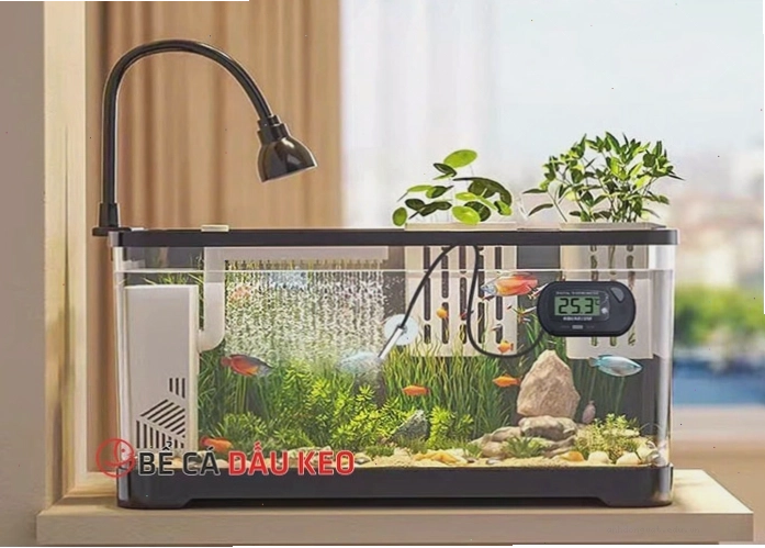 Các loại bể đúc nguyên khối phổ biến