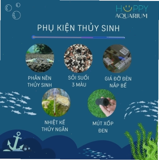 Các loại chế phẩm sinh học hỗ trợ nuôi cá cảnh