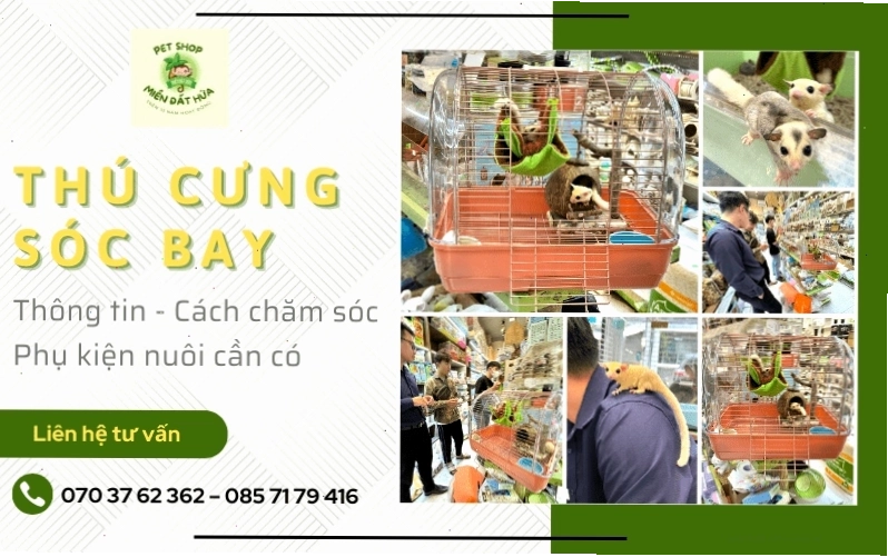 Các phụ kiện cần thiết cho chuồng nuôi sóc cảnh