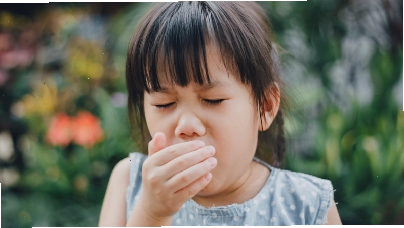 Cách điều trị ho gà