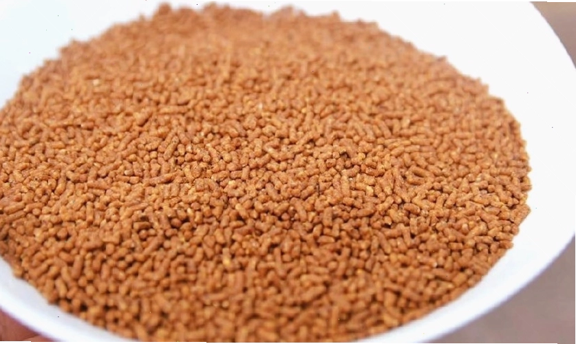 Cám chim giúp kích và dưỡng lửa cho chim chào mào