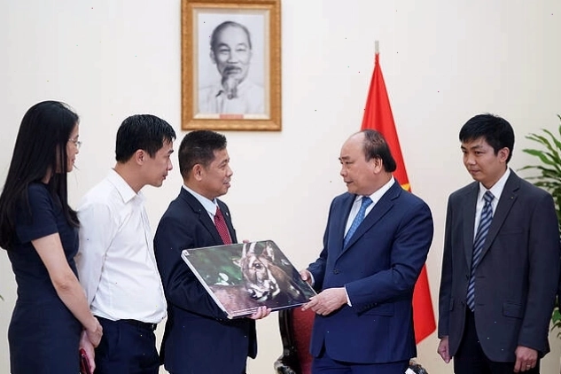 Cán bộ kiểm lâm tuần tra trong khu rừng nơi sao la sinh sống