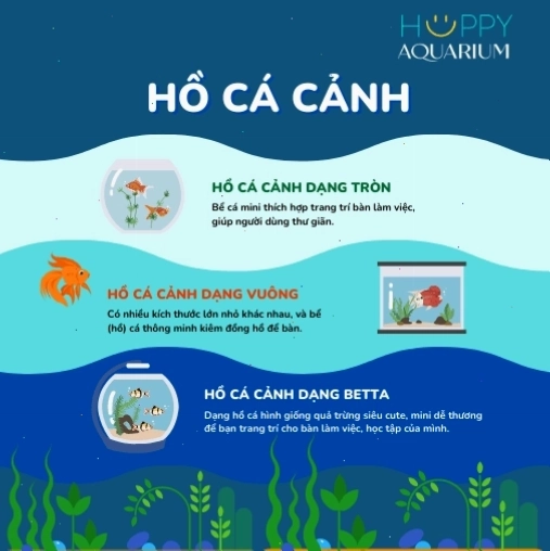 Cận cảnh vẻ đẹp lộng lẫy của cá betta thái