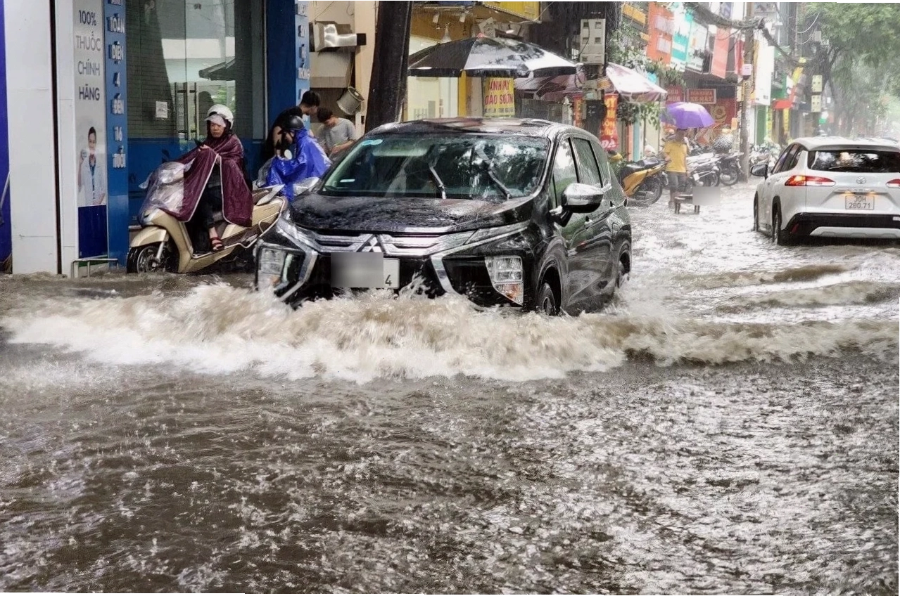 Cần tuân thủ pháp luật về bảo vệ động vật hoang dã
