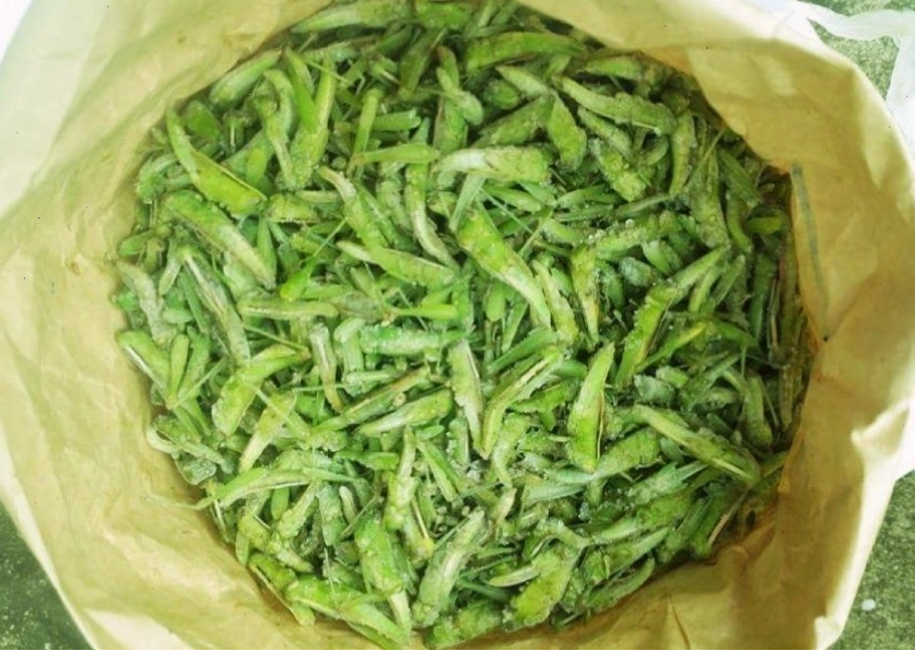 Cào cào non là thức ăn yêu thích của chim chào mào