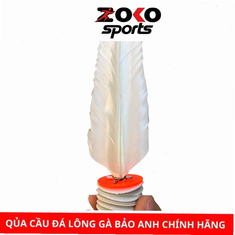 Cầu đá lông gà được sắp xếp gọn gàng trong hộp