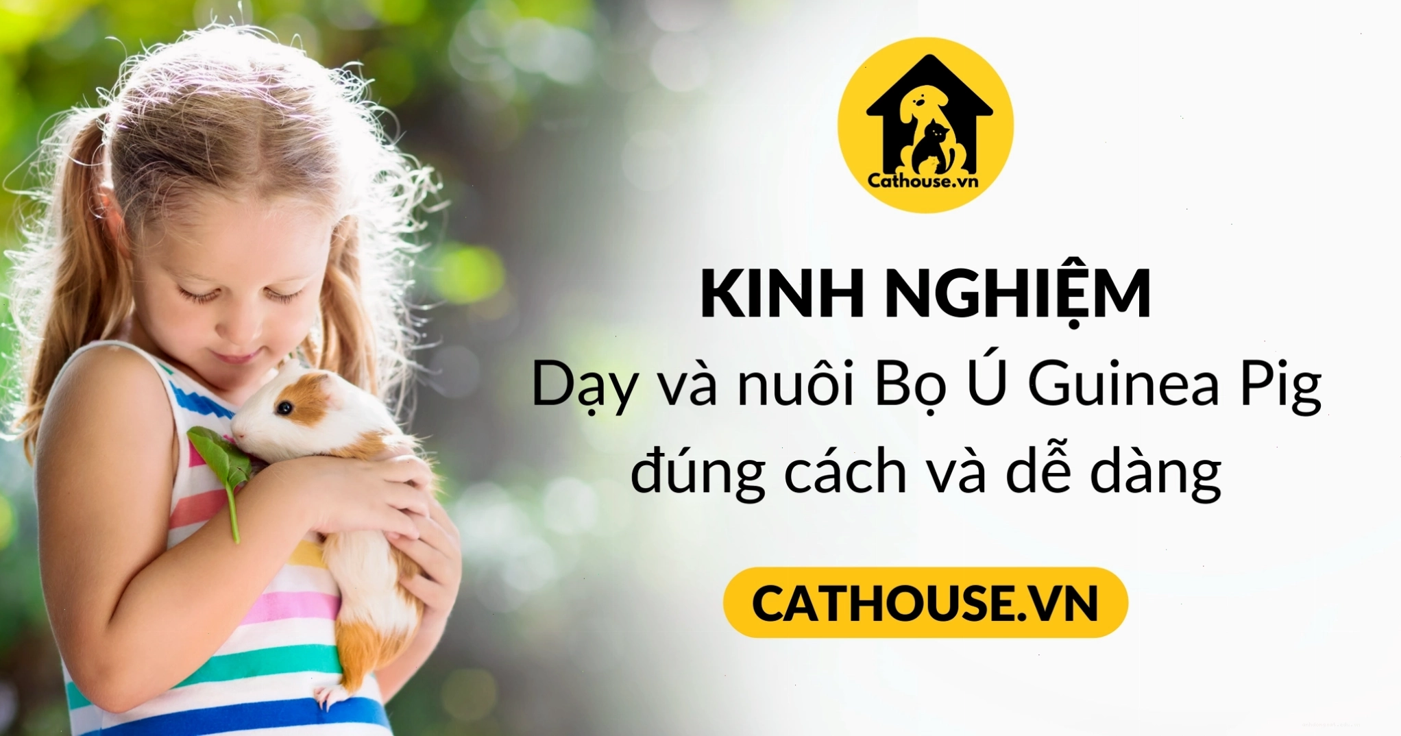 Chăm sóc sức khỏe cho chuột lang