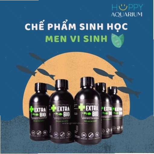 Chế phẩm sinh học xử lý nước bể cá