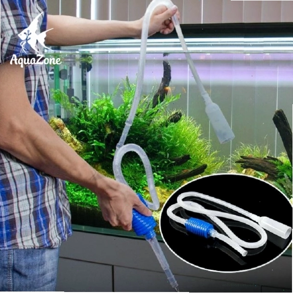 Cho cá Ranchu ăn lượng vừa đủ để tránh bẩn nước