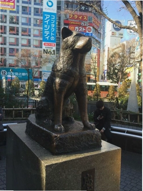 Chú chó Hachiko và Giáo sư Ueno