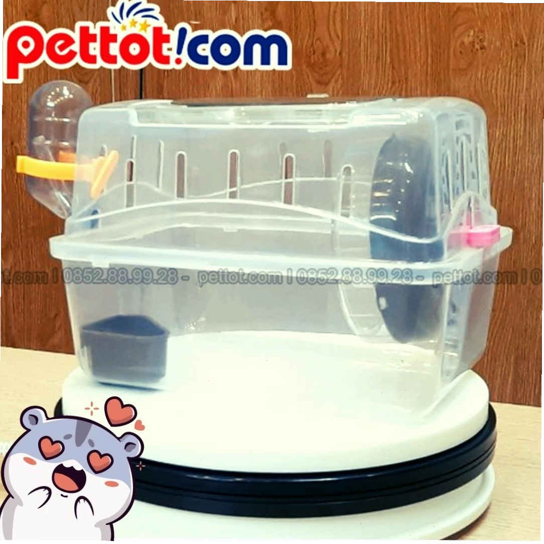 Chủ nhân âu yếm chú hamster già