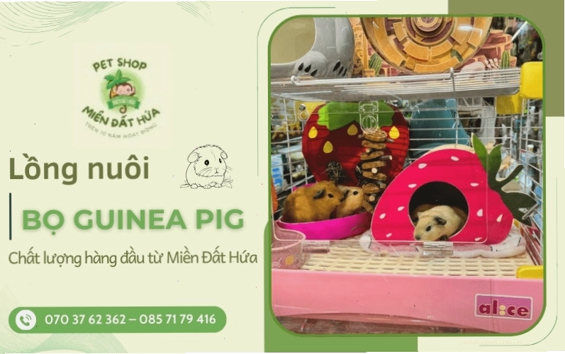 Chuồng bọ ú với đầy đủ vật dụng cần thiết cho sinh hoạt