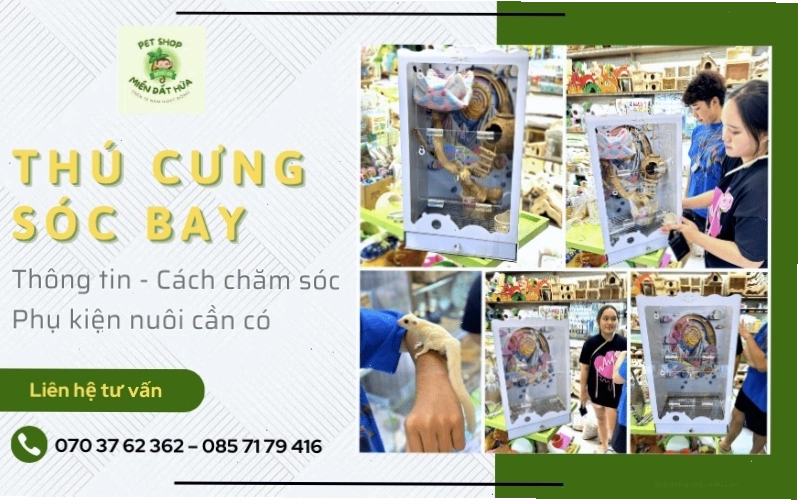 Chuồng nuôi sóc bay Úc thiết kế theo chiều dọc với nhiều trụ leo trèo