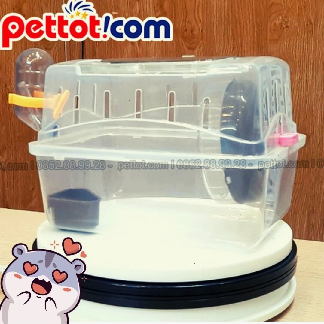 Chuột hamster bị mắc kẹt trong vật dụng